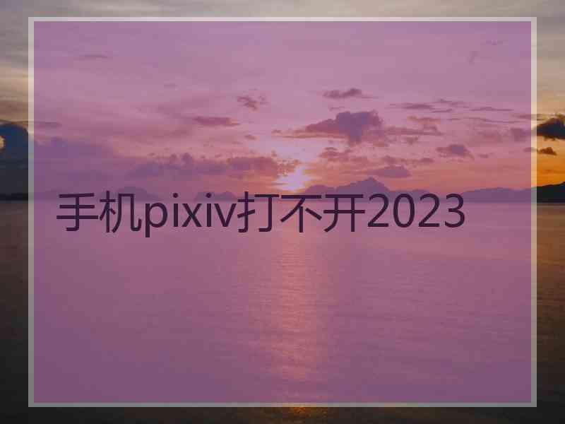 手机pixiv打不开2023