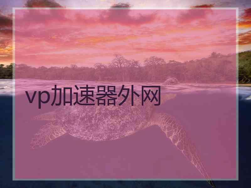 vp加速器外网