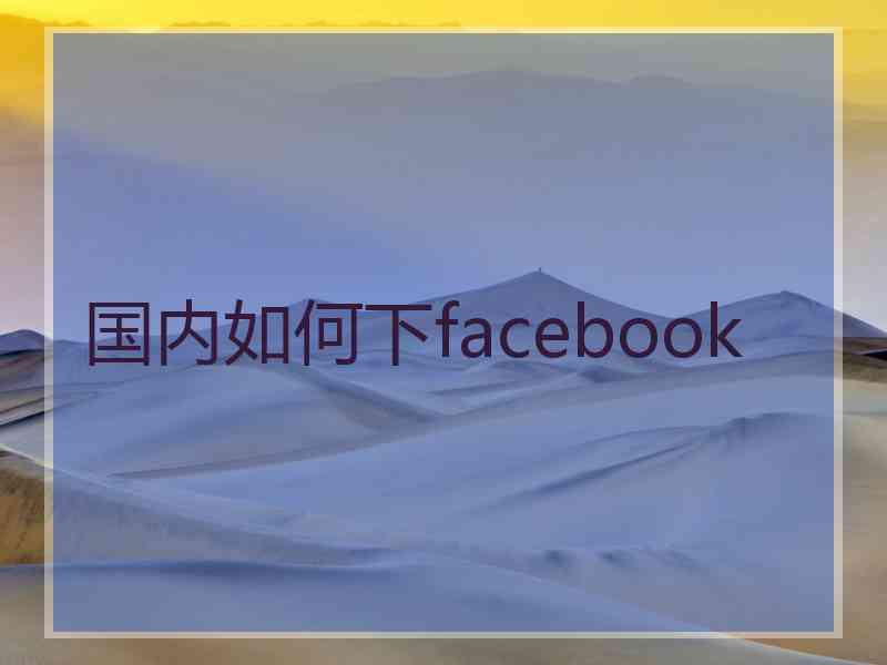 国内如何下facebook