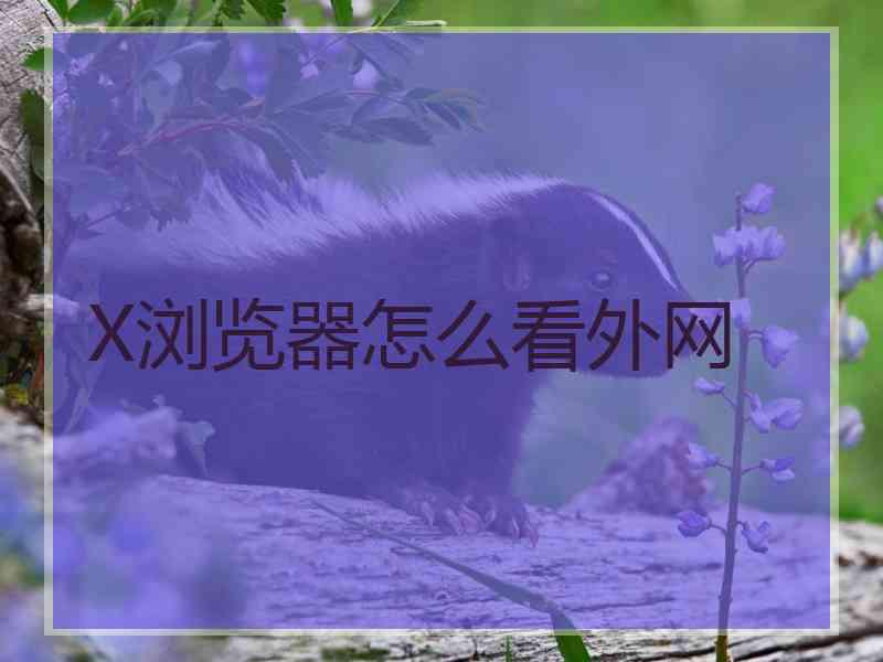 X浏览器怎么看外网
