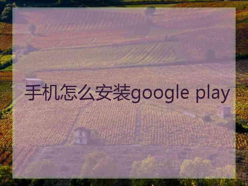 手机怎么安装google play