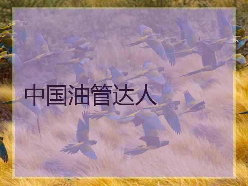 中国油管达人