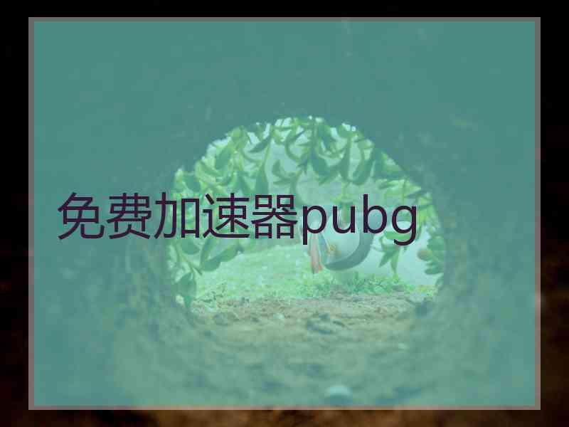 免费加速器pubg