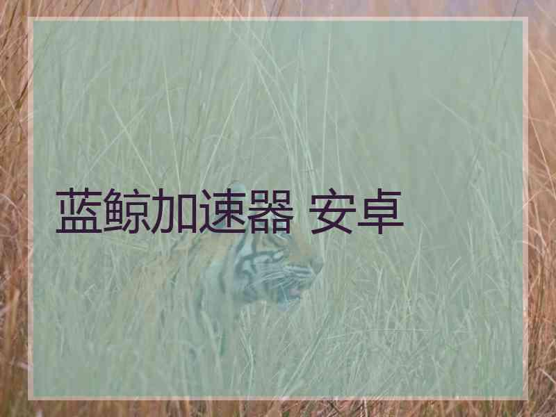 蓝鲸加速器 安卓