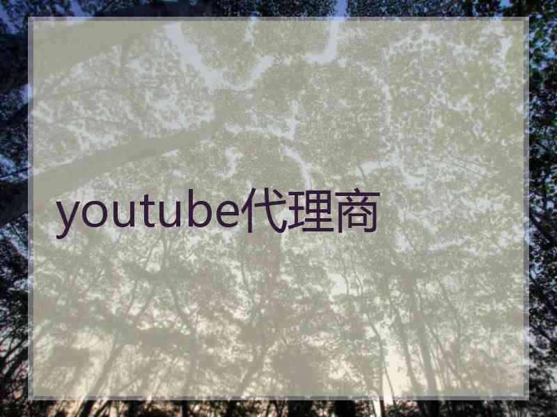 youtube代理商