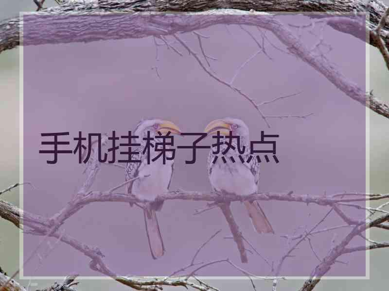 手机挂梯子热点