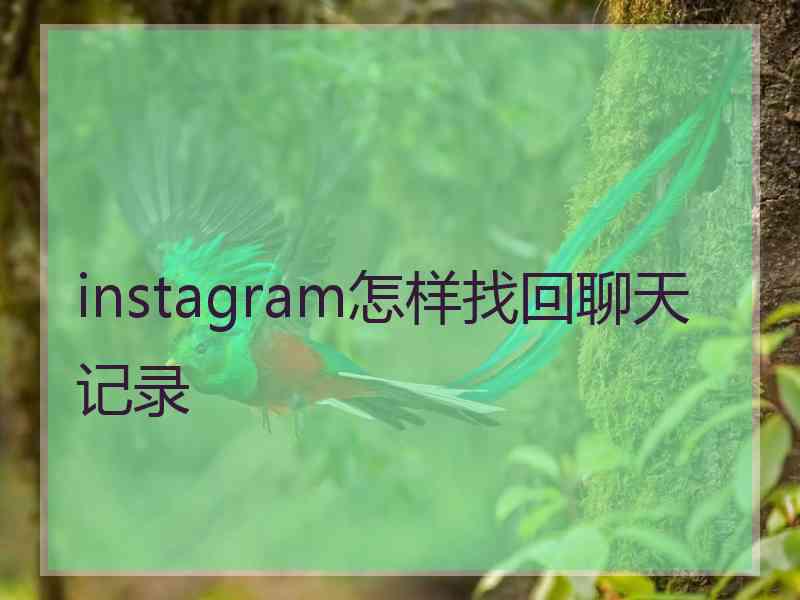 instagram怎样找回聊天记录