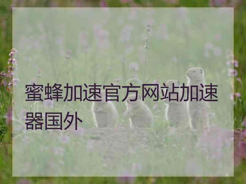 蜜蜂加速官方网站加速器国外