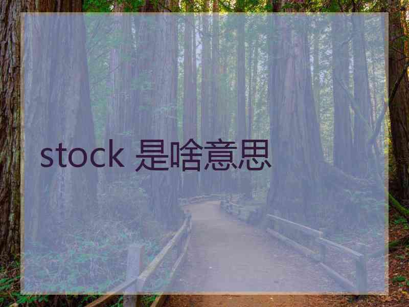 stock 是啥意思