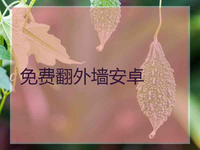 免费翻外墙安卓