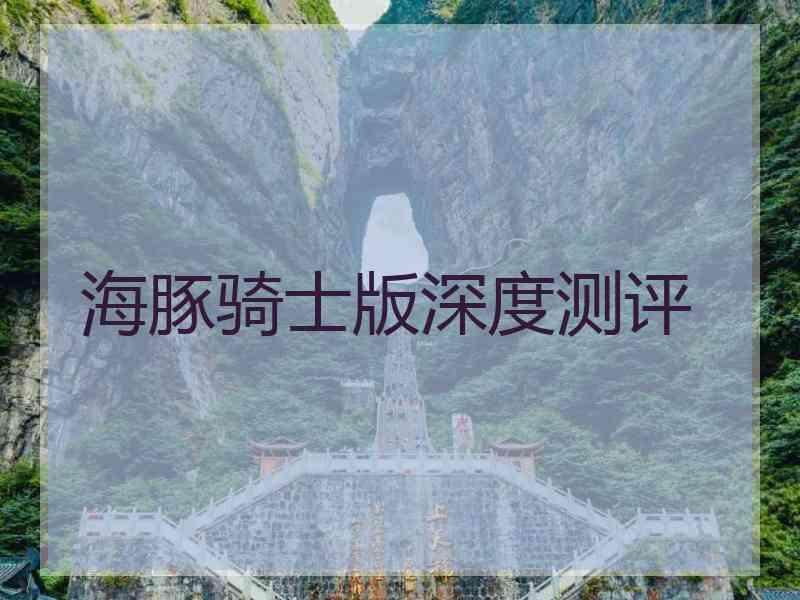 海豚骑士版深度测评