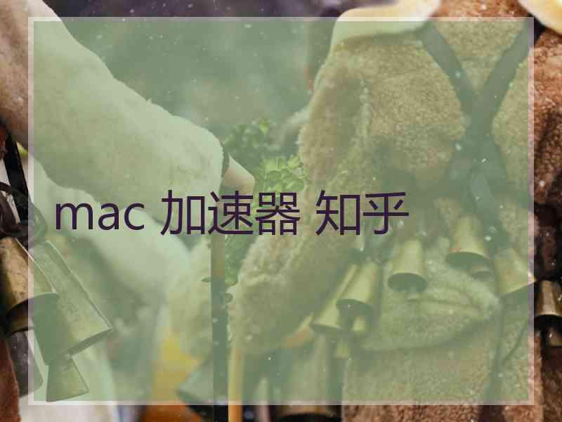 mac 加速器 知乎