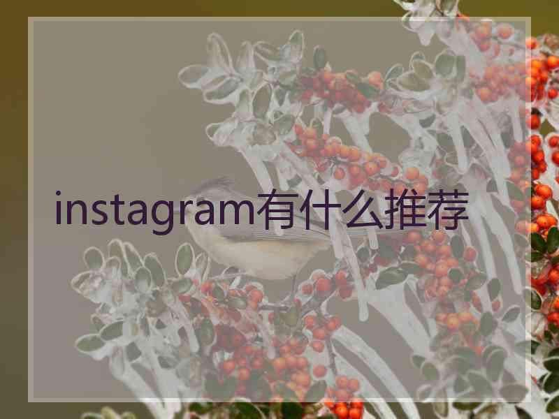 instagram有什么推荐