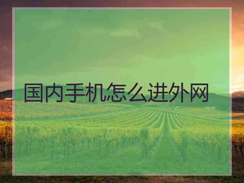 国内手机怎么进外网
