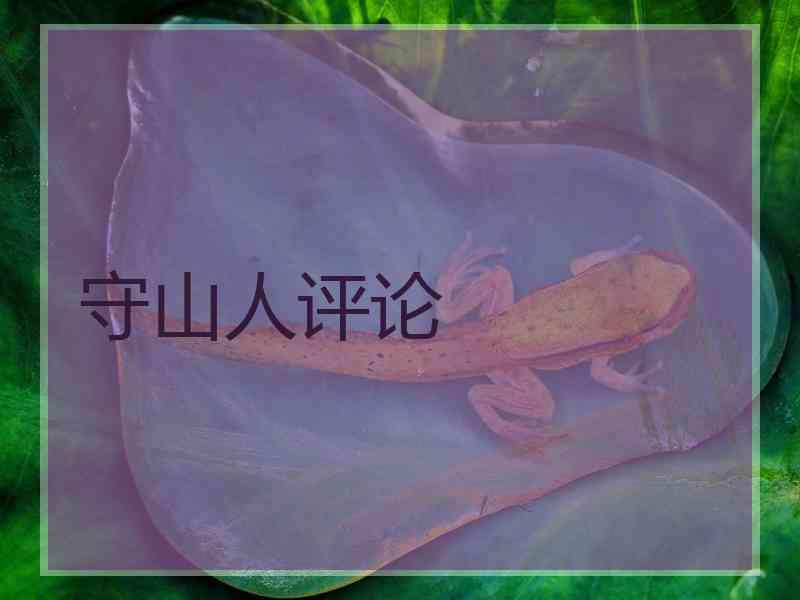 守山人评论