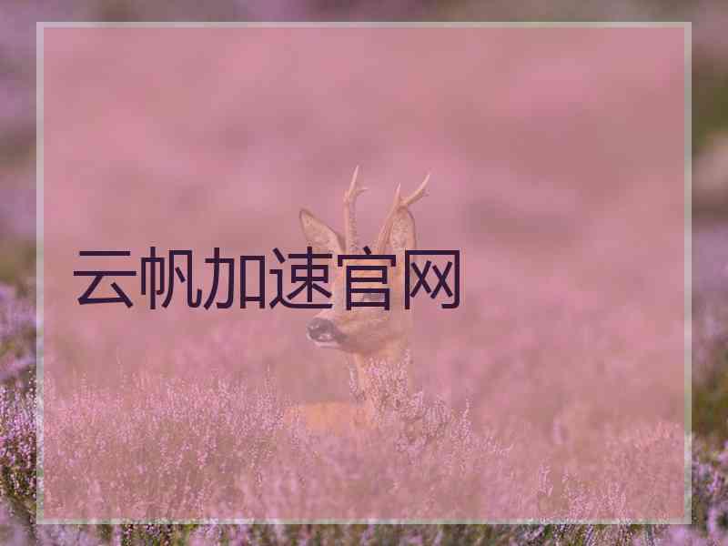 云帆加速官网