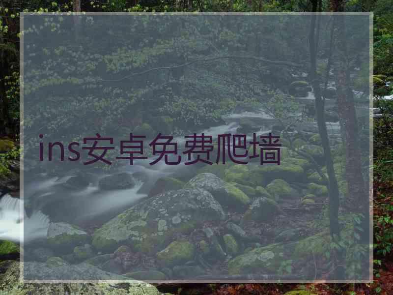 ins安卓免费爬墙