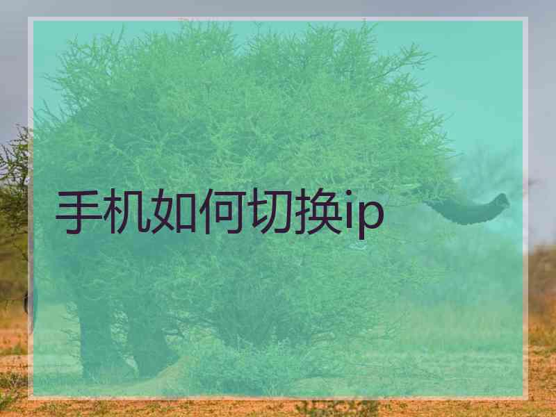 手机如何切换ip