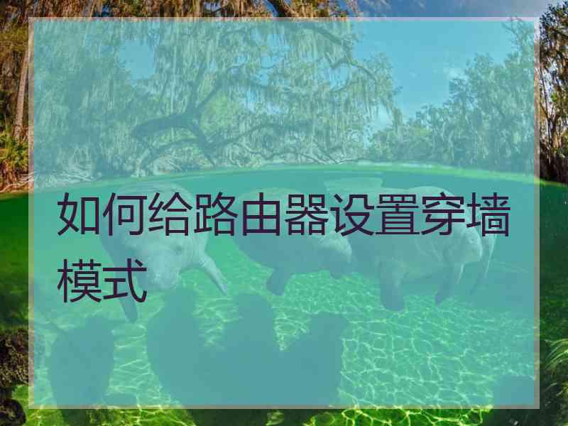 如何给路由器设置穿墙模式