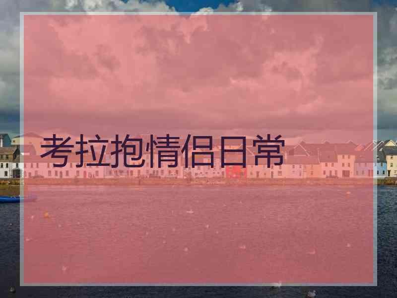 考拉抱情侣日常