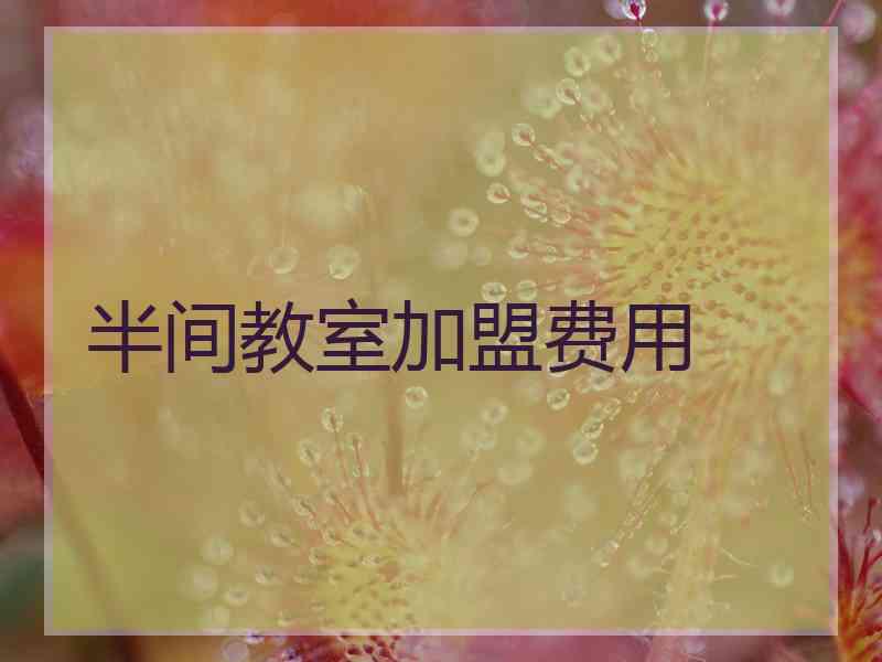 半间教室加盟费用