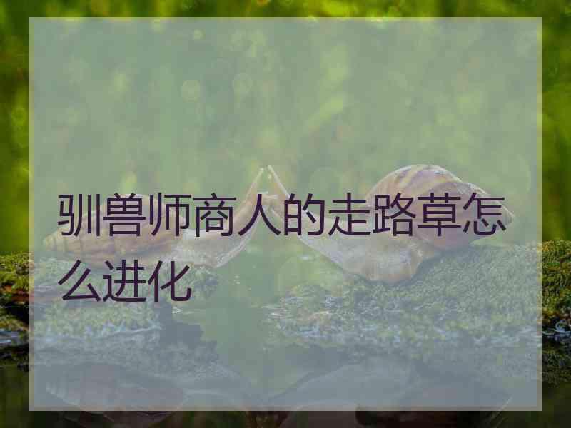 驯兽师商人的走路草怎么进化