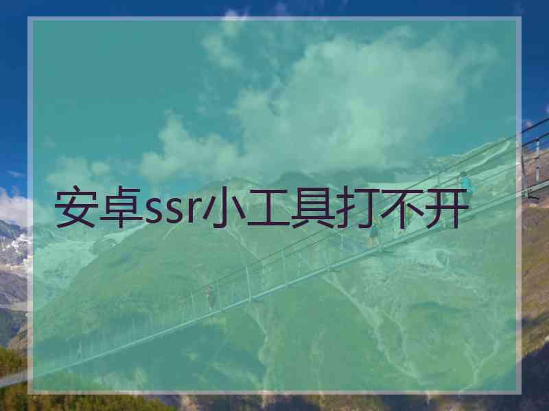 安卓ssr小工具打不开