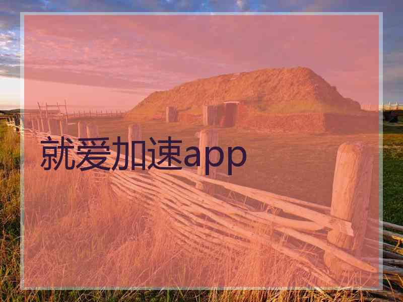 就爱加速app