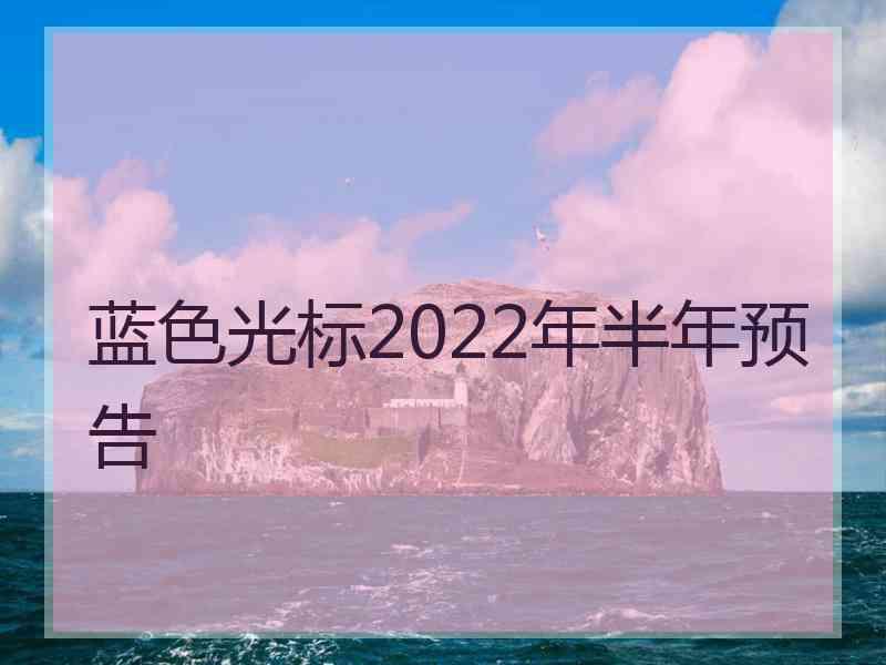 蓝色光标2022年半年预告