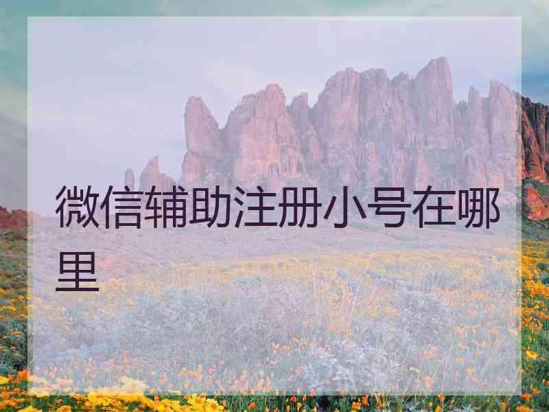 微信辅助注册小号在哪里