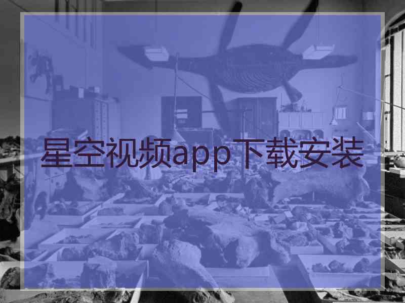 星空视频app下载安装