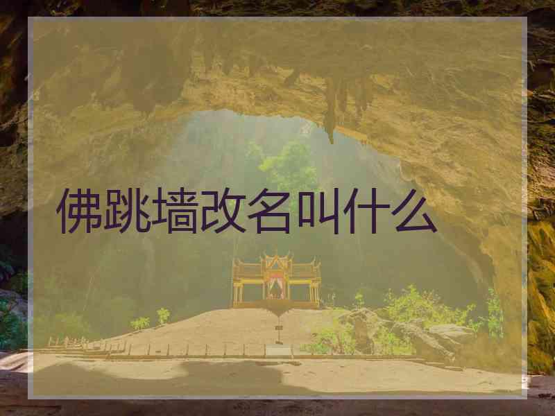 佛跳墙改名叫什么