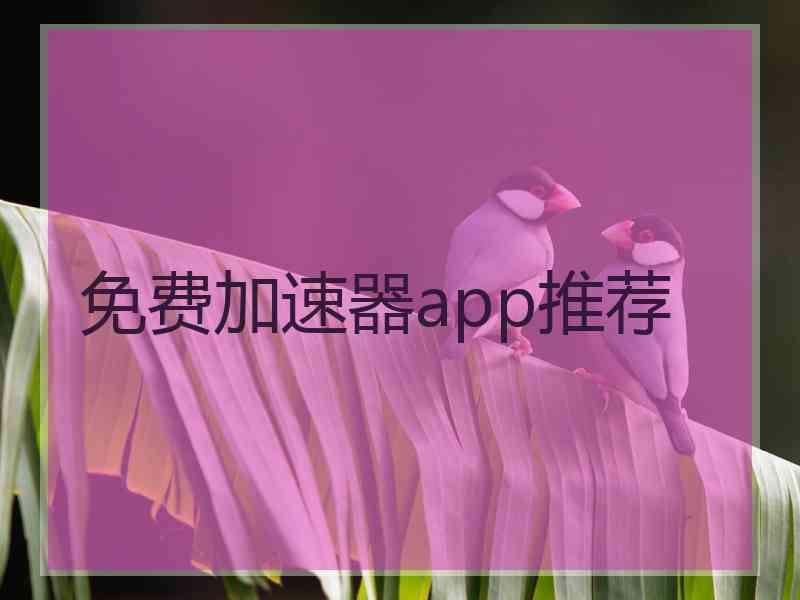 免费加速器app推荐
