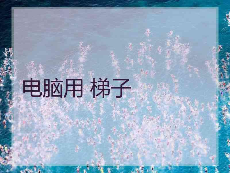 电脑用 梯子