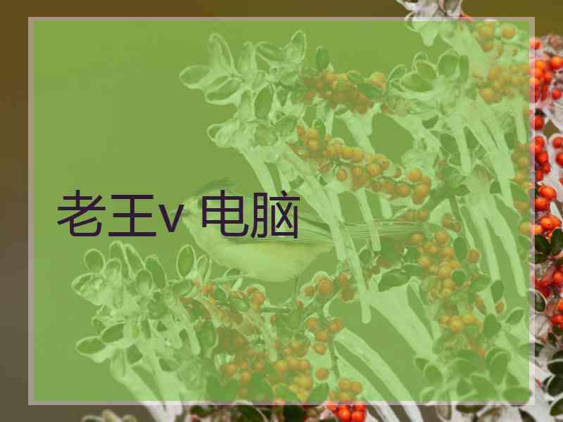 老王v 电脑
