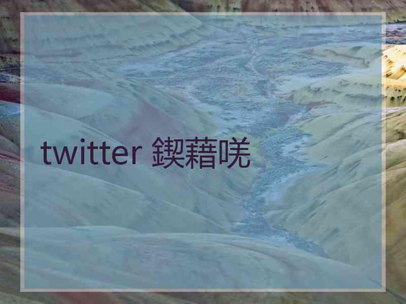 twitter 鍥藉唴