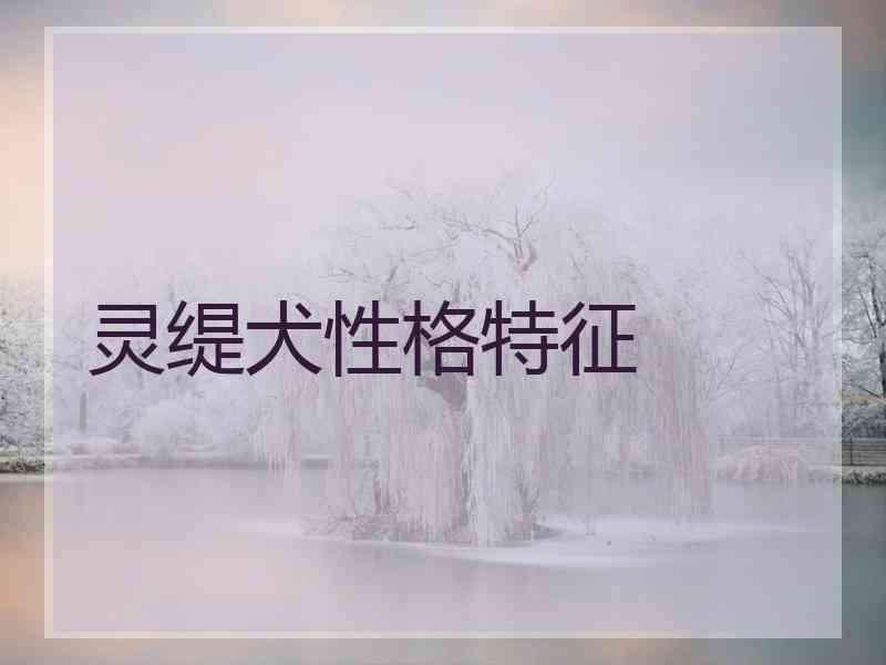 灵缇犬性格特征