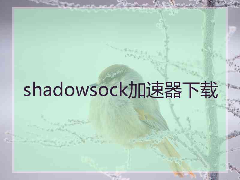 shadowsock加速器下载