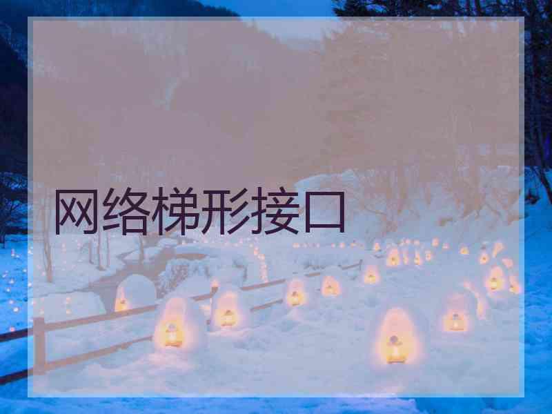 网络梯形接口