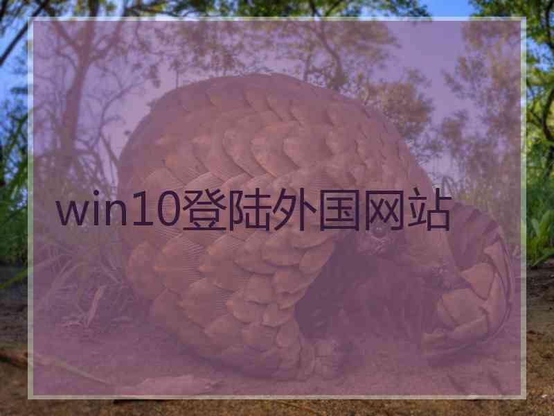 win10登陆外国网站