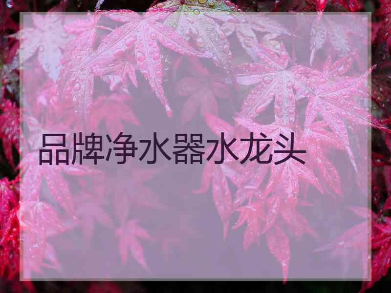 品牌净水器水龙头