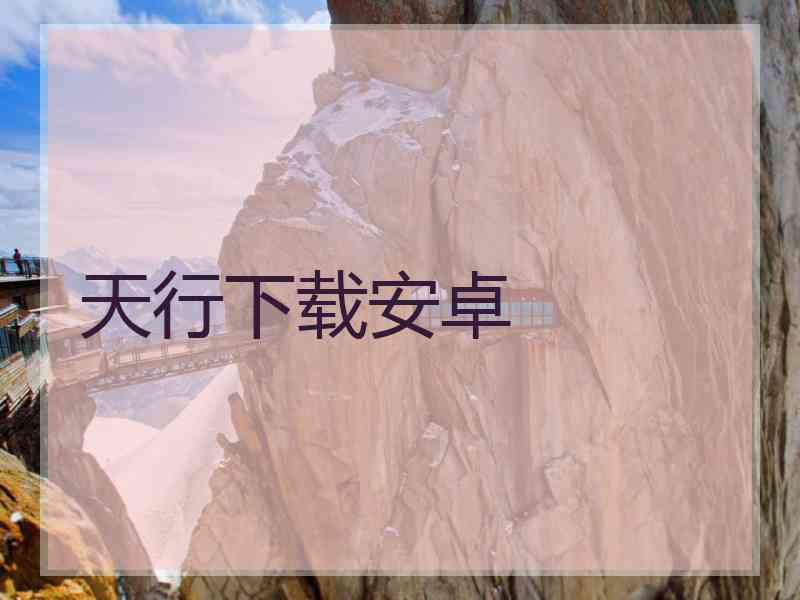 天行下载安卓