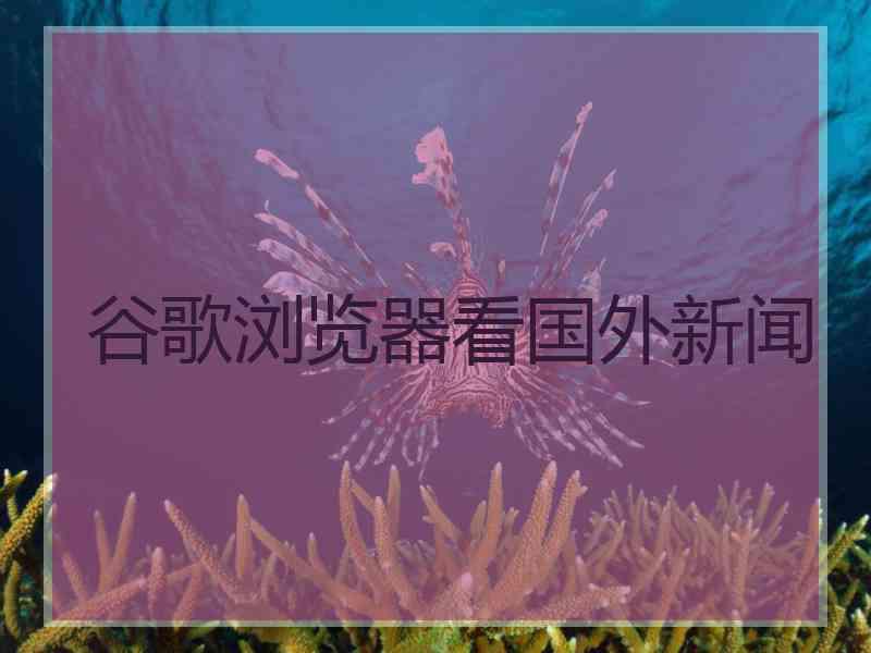 谷歌浏览器看国外新闻