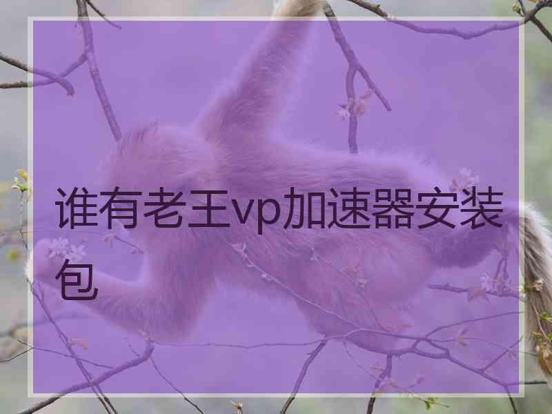 谁有老王vp加速器安装包