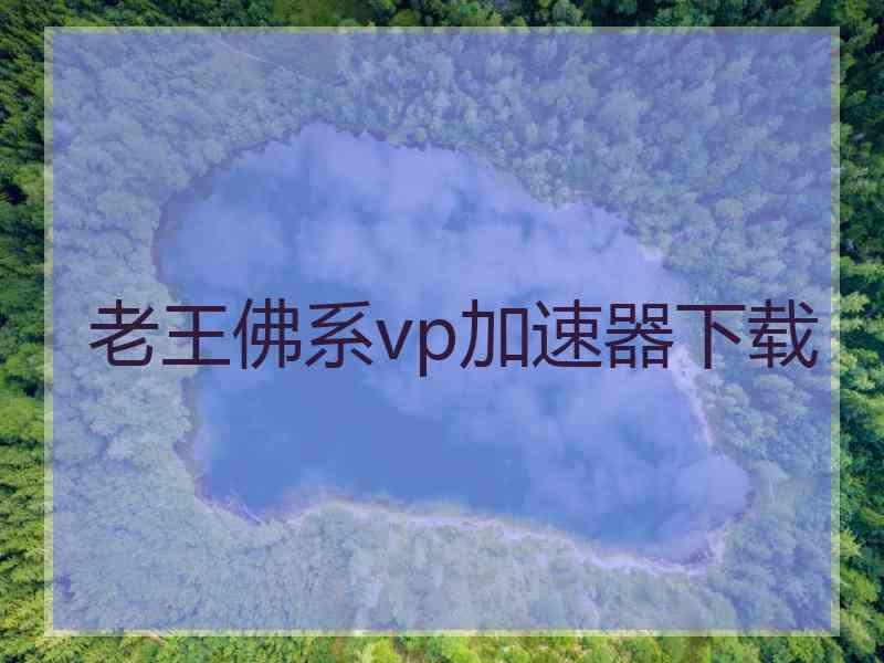 老王佛系vp加速器下载