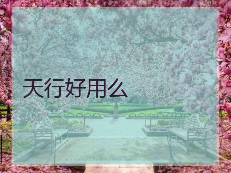 天行好用么