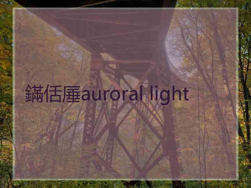 鏋佸厜auroral light