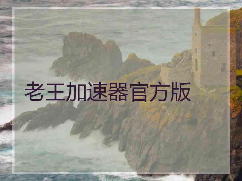 老王加速器官方版