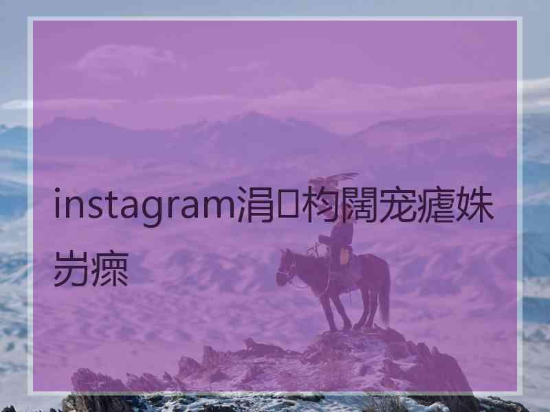 instagram涓枃闊宠瘧姝岃瘝