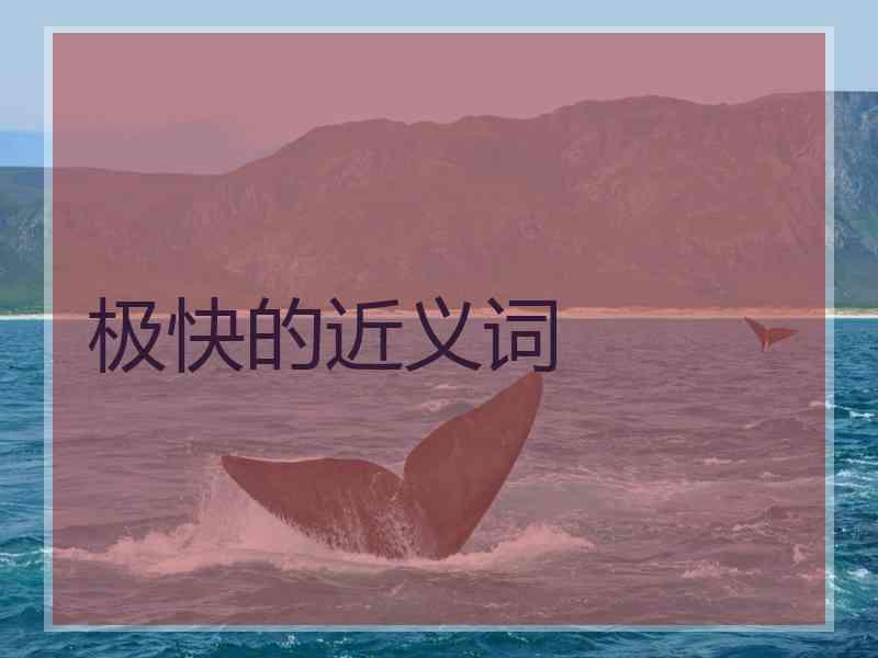 极快的近义词